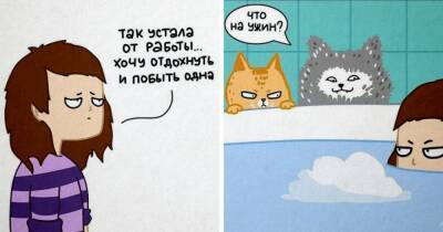 17 забавнейших комиксов от хозяйки 4 котов, которая точно знает, как развеселить других кошатников - mur.tv