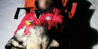 Немыслимая история: самоотверженный пёс спас незадачливого альпиниста - mur.tv - Хорватия