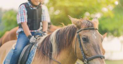 Отдаем ребенка в конный спорт: что нужно знать родителям - 7days.ru