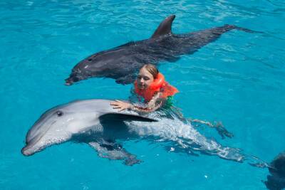 Как врачуют дельфины? - shkolazhizni.ru - Евпатория