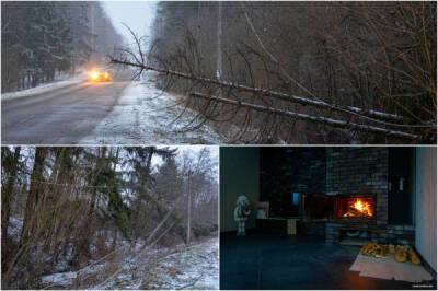 Последствия ураганного ветра под Минском: без электричества остались десятки семей - porosenka.net - Минск - Приморье край