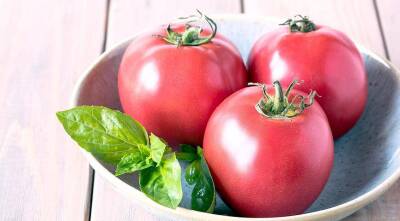 Розовые томаты: лучшие сорта и гибриды розовых помидоров - sadogorod.club