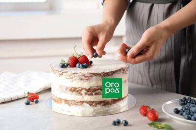 10 простых рецептов тортов, с которыми справится даже новичок - sadogorod.club
