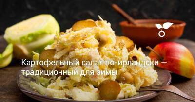 Картофельный салат по-ирландски — традиционный для зимы - sadogorod.club