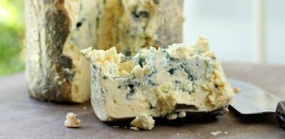 10 фактов о голубых сырах - vogue.ua - Франция