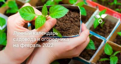 Лунный календарь садовода и огородника на февраль 2022 - sadogorod.club