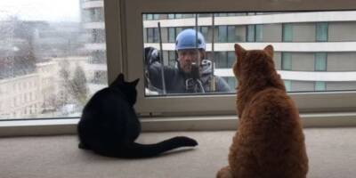 Они нашли друг друга: мойщик окон играет с черным котом - mur.tv