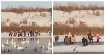 Группа туристов провалилась под лед на озере в Алтайском крае - porosenka.net - Алтайский край