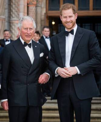 принц Гарри - принц Филипп - принц Чарльз - Оттепель: принц Чарльз публично помирился с сыном — принцем Гарри, с которым не разговаривал несколько месяцев - elle.ru - Египет - Иордания - Барбадос
