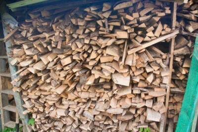 Как заложить дрова в печь, чтобы не дымились и дали максимум тепла: должен знать каждый дачник - sadogorod.club