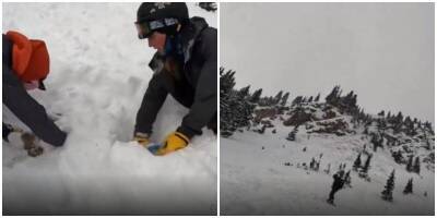 Американские студенты выкопали собаку из-под снега - mur.tv - штат Колорадо