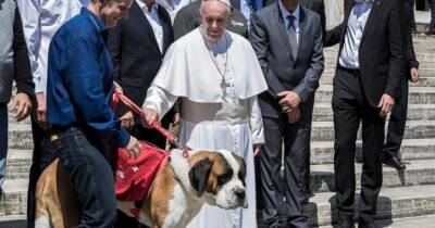 Франциск - Папа Римский осудил людей, которые заводят животных, а не детей - womo.ua - Рим