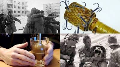 Крючки и «Афганский тюльпан»: смекалка советских солдат и гранаты - porosenka.net - Ссср - Афганистан - Сталинград
