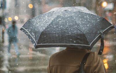 Дождь моде не помеха: подборка стильных зонтиков - hochu.ua