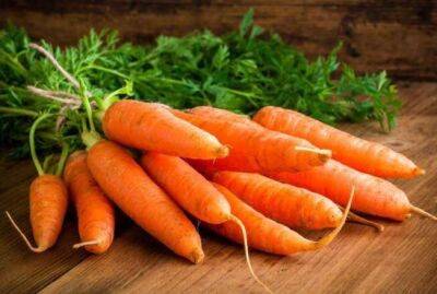 Никогда не кладите морковь рядом с этим продуктом: многие об этом даже не знали - sadogorod.club