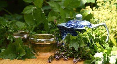 Травяной чай - 10 рецептов для самостоятельного изготовления полезных сборов - sadogorod.club
