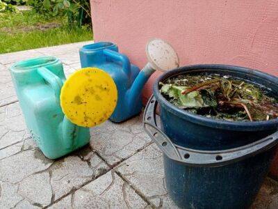 Как отмыть тару от зелени и других загрязнений: 4 способа - sadogorod.club