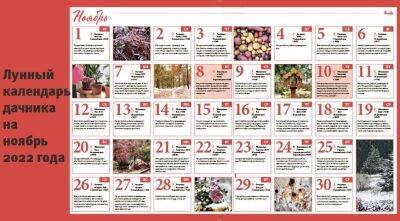 Лунный посевной календарь садовода, цветовода и огородника на ноябрь 2022 года - sadogorod.club