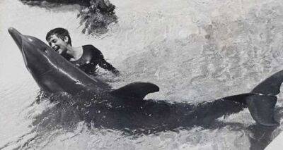 В 60-х года НАСА провели эксперимент, в результате которого женщина влюбилась в одержимого сексом дельфина-наркомана - chert-poberi.ru