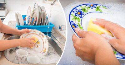 Немецкие хозяйки не споласкивают посуду от мыла, выяснили, в чём подвох - lifehelper.one