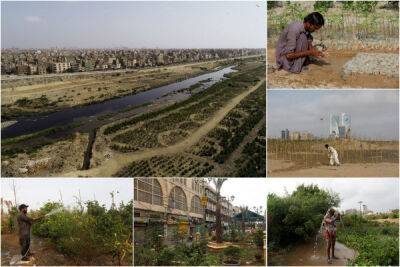 Пакистанцы сажают деревья, чтобы укрыться от палящего солнца - porosenka.net - Пакистан - Карачи