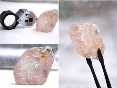 Самый крупный за последние 300 лет розовый алмаз найден в Анголе - porosenka.net - Ангола