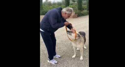 Всесвітньо відомий тенор Андреа Бочеллі прихистив собаку Джека, врятованого з Куп’янська - womo.ua - Сша