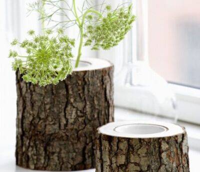 Натуральная ваза из ствола дерева - fokus-vnimaniya.com
