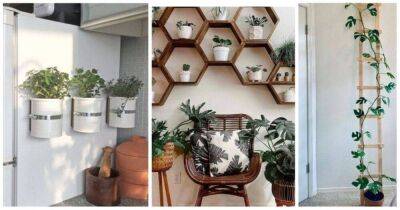 Креативные и современные идеи декора стен комнатными растениями, которые вы можете повторить. Преобразите любую пустую стену - lifehelper.one