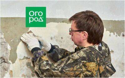 Как очистить дом от старой краски: решения для дерева, металла и бетона - sadogorod.club
