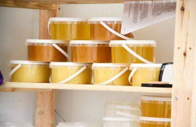 Как сохранить мед надолго в домашних условиях - lifehelper.one