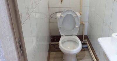 Комфорт в крошечном туалете: удивительное решение заслуживающее одобрения и повторения - lifehelper.one