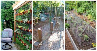 20 практичных и красивых идей для сада из дешевой сетки рабицы - lifehelper.one