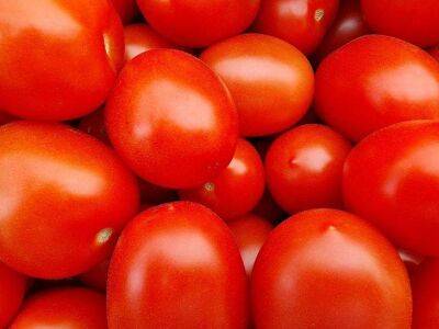 Елен Гутыро - 3 правила хранения и дозревания зелёных томатов: что нужно знать, чтобы были красные помидоры на Новый год - sadogorod.club