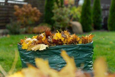 5 способов использовать опавшие осенние листья на даче - sadogorod.club