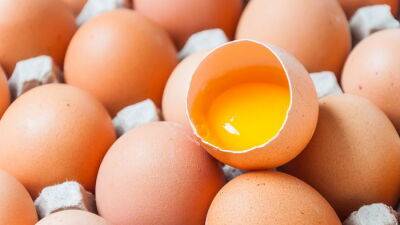 Как проверить свежесть яиц? 3 полезных совета - new-lifehuck.ru