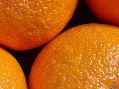 Где ушлые хозяйки используют остающиеся после чистки апельсинов шкурки - belnovosti.by