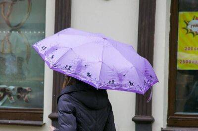 Как правильно ухаживать за зонтом: многие неправильно его сушат - lifehelper.one