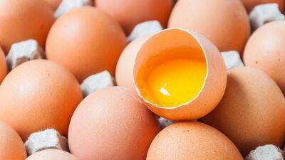 Как проверить свежесть яиц? 3 полезных совета - lifehelper.one