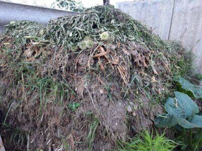 Нужно ли укрывать компост на зиму: на заметку начинающим огородникам - sadogorod.club