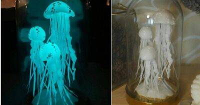Супер оригинальный декор для дома — светящиеся медузы, которые украсят интерьер - lifehelper.one