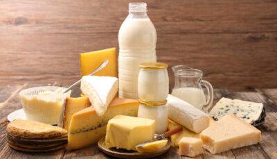 Експорт молочної продукції з України перевищив довоєнний рівень на 70% - womo.ua - Сша