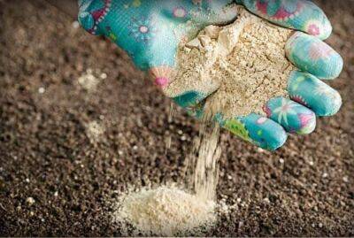 Смешайте 3 копеечных средства, чтобы снизить кислотность и улучшить плодородие почвы - lifehelper.one