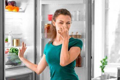 Откуда берется запах в холодильнике и как с ним бороться - lifehelper.one
