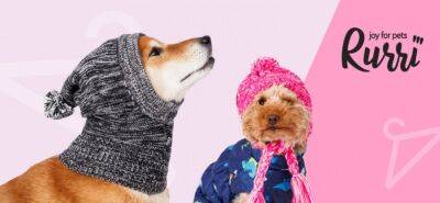 Шапки для собак от Rurri: подборка самых модных и удобных моделей - mur.tv