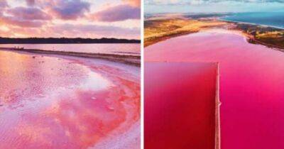 Волшебная розовая лагуна Западной Австралии в фотографиях Кристины Макеевой - chert-poberi.ru - Австралия