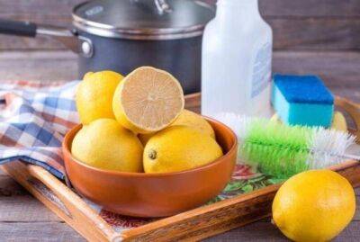 Как подольше сохранить свежесть лимона: совет, который пригодится на кухне - sadogorod.club