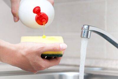 Кухонный держатель для губки и мыла на мойку своими руками. Как сделать? - nashsovetik.ru