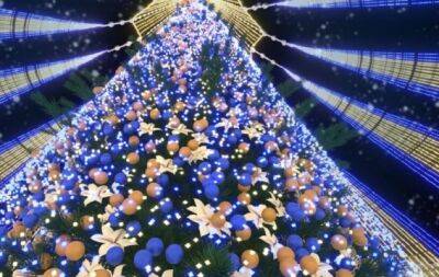 Виталий Кличко - Будут ли устанавливать новогоднюю елку в Киеве? Ответ Виталия Кличко - hochu.ua - Украина - Киев