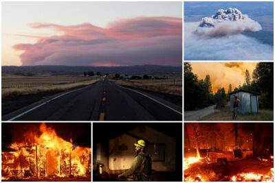 Лесной пожар бушует возле национального парка Йосемити: тысячам людей приказано эвакуироваться - porosenka.net